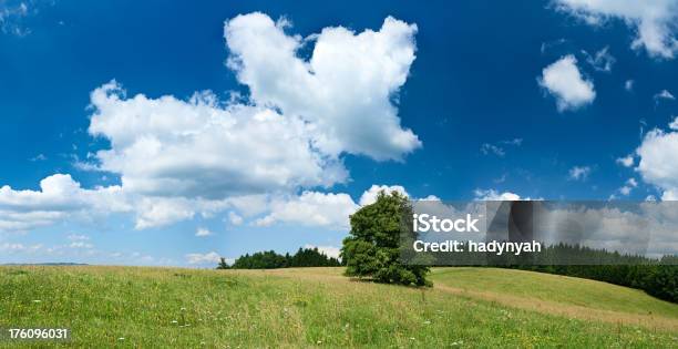 Panorâmica Paisagem De Primavera 96mpix Tamanho Xxxxlhighlands Céu Azul - Fotografias de stock e mais imagens de Ajardinado