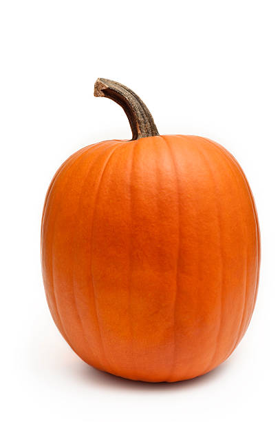 Pumpkin stock photo