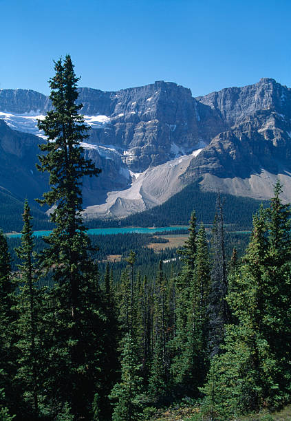 istock Moraine Lake, Canadian Rockies 176096752