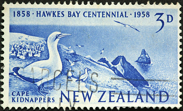 istock Hawkes Bay New Zealand 176096890