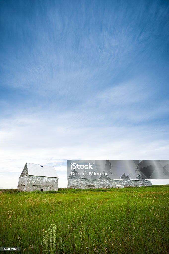 Ländliche Silos am Sommer-Wiese - Lizenzfrei Agrarbetrieb Stock-Foto