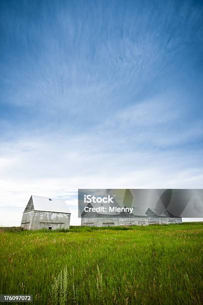 Silos Rural Com Prado De Verão - Fotografias de stock e mais imagens de Agricultura - Agricultura, Alberta, Alumínio