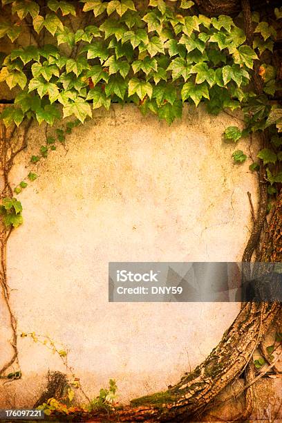 Ivy Coperto Parete - Fotografie stock e altre immagini di Composizione verticale - Composizione verticale, Copy Space, Edera