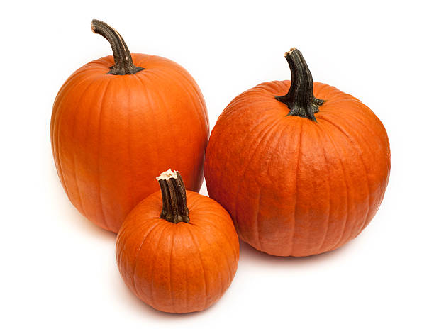 Pumpkin stock photo