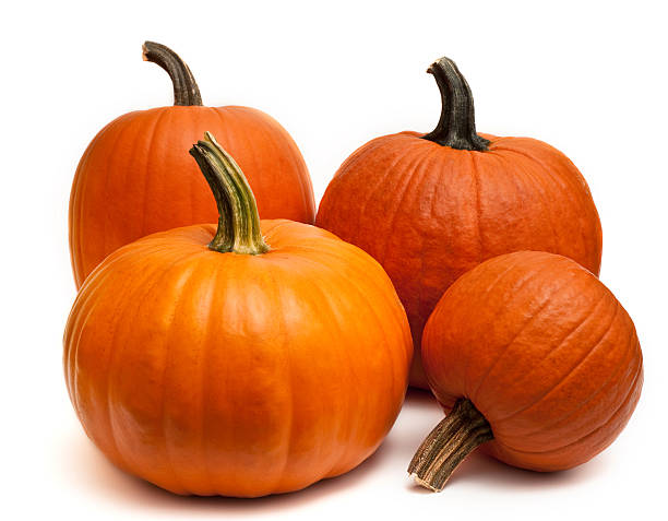 Pumpkins stock photo