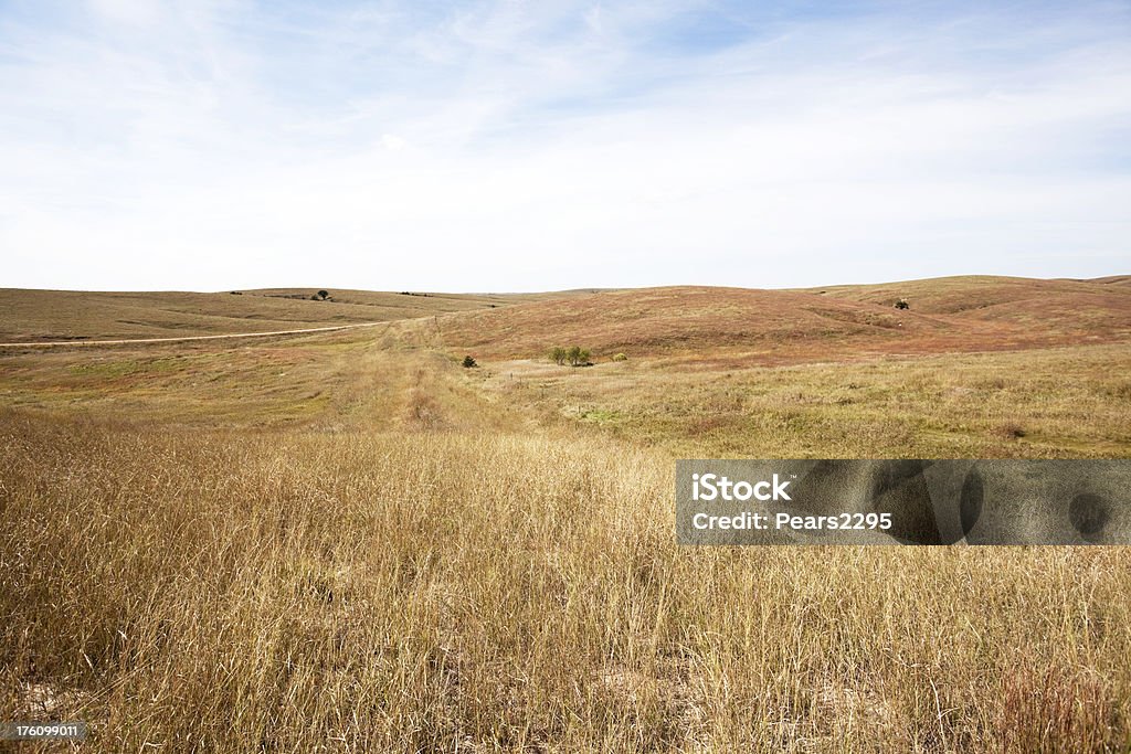 Série de prairie - Photo de Ciel sans nuage libre de droits