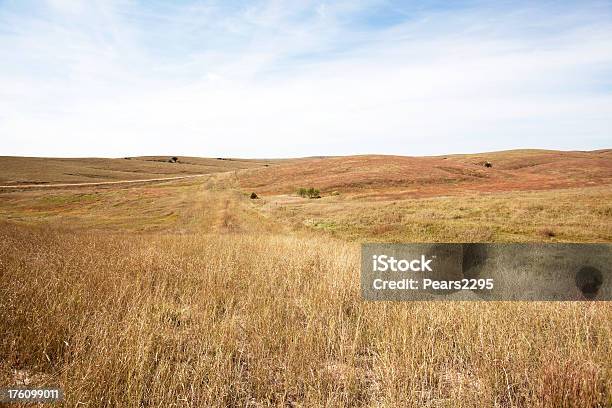 Photo libre de droit de Série De Prairie banque d'images et plus d'images libres de droit de Ciel sans nuage - Ciel sans nuage, Cirrus, Entassé