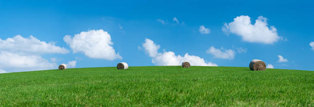 istock Panoramic spring landscape 77MPix XXXXL size - hay bales, meadow 176099472