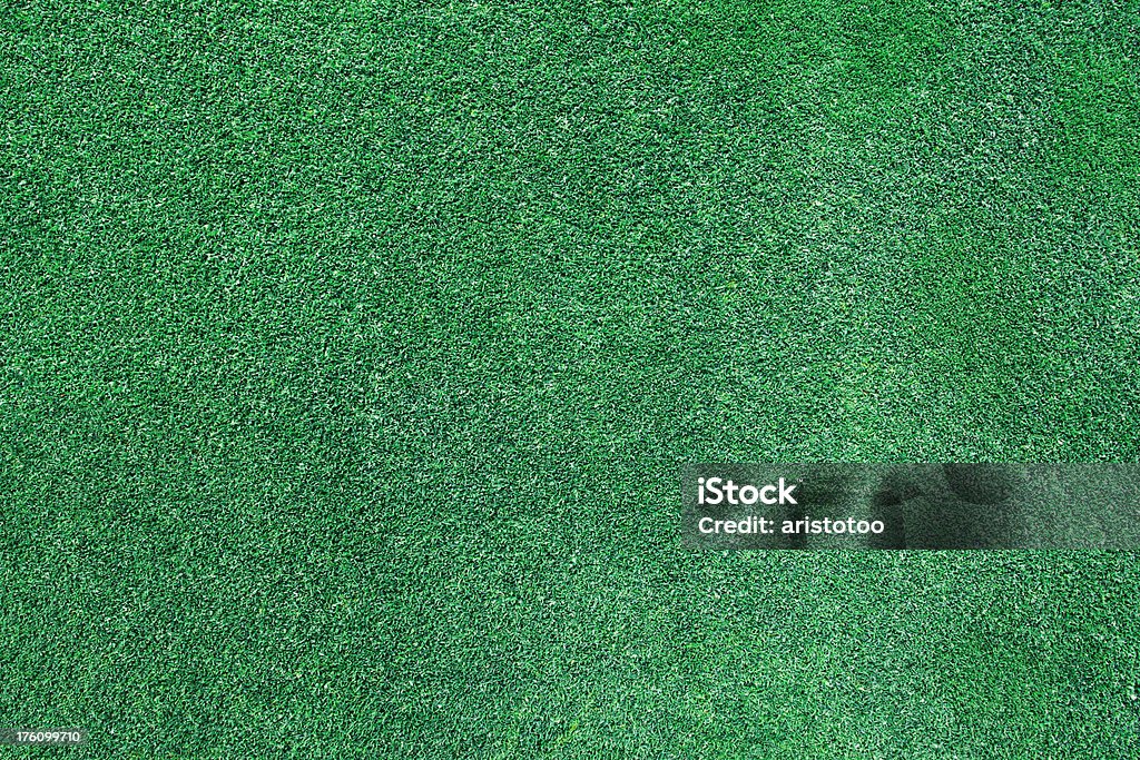 Golf Putting Green Trawa - Zbiór zdjęć royalty-free (Bez ludzi)