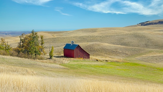 A panorama photo of an old red barn stands in a field near Moscow, Idaho in the palouse region.