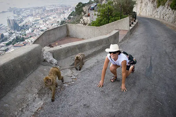 Photo of Tourist playing with monkeys