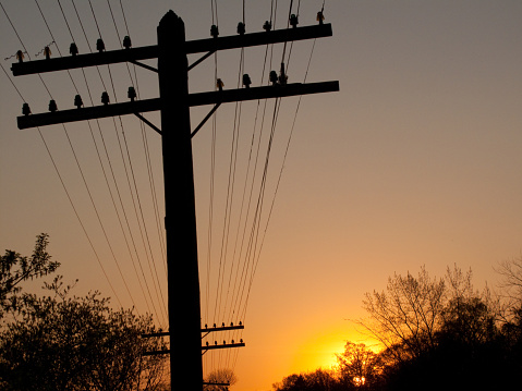 An old telegraph utility pole photographed against the sky at sunset.