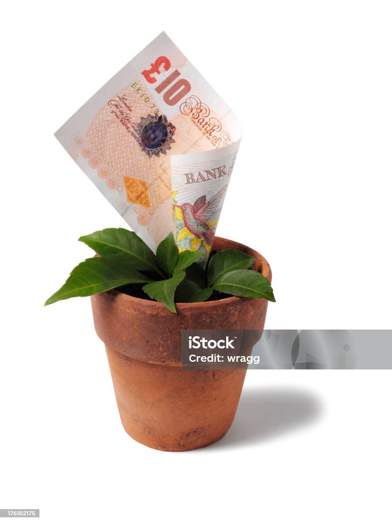 Growing British Ten Pound Note in a Plant Pot "British ten pound note growing in a terracotta plant pot with  leaves, Isolated on whiteClick on the link below to see more of my business images." British Pound Note Stock Photo