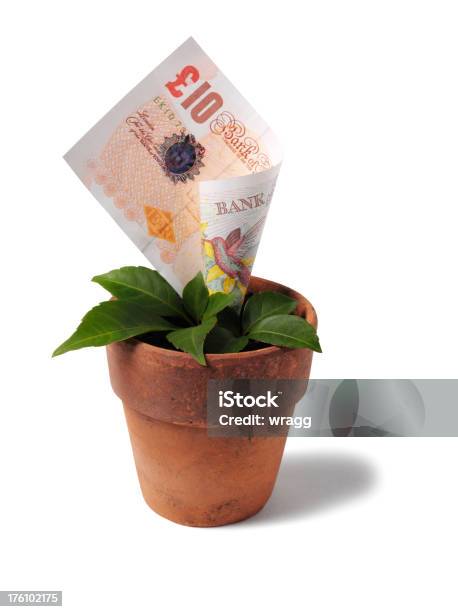 Growing British Ten Pound Note In A Plant Pot Stock Photo - Download Image Now - British Pound Note, Money Doesn't Grow On Trees, Money Tree