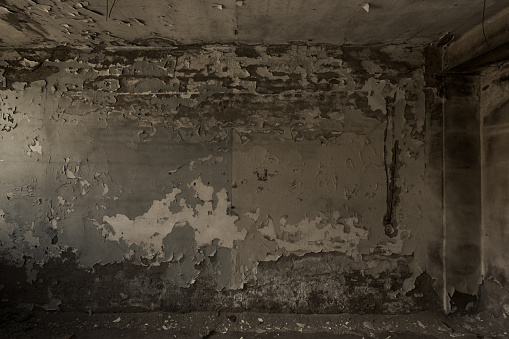 This room, once a place of elegance and beauty, now stands in a state of disrepair. Its walls bear the scars of time, with paint peeling off in strips, revealing the weathered surface beneath. The floor is marred by layers of dirt and grime, giving it a neglected appearance. It's a poignant scene of a room that has fallen from grace, a stark reminder of its former glory.