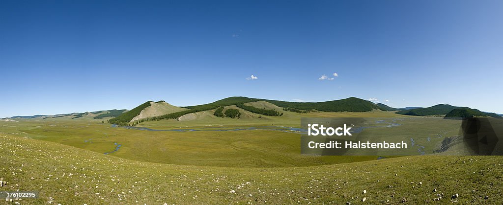Paysage de Mongolie - Photo de Arbre libre de droits