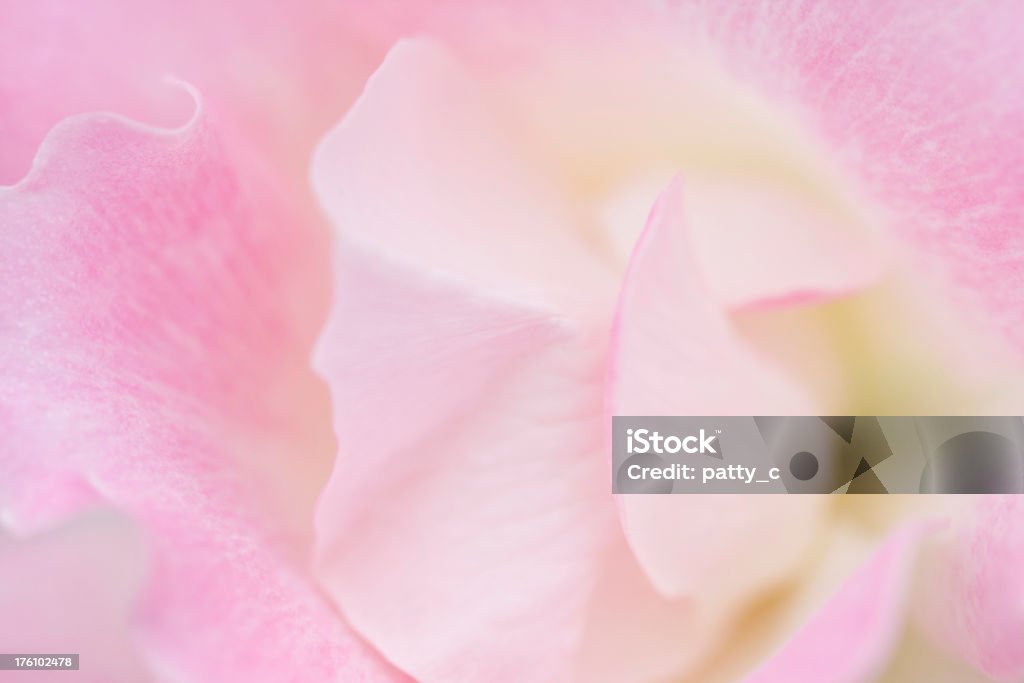 Fundo rosa - Foto de stock de Abstrato royalty-free