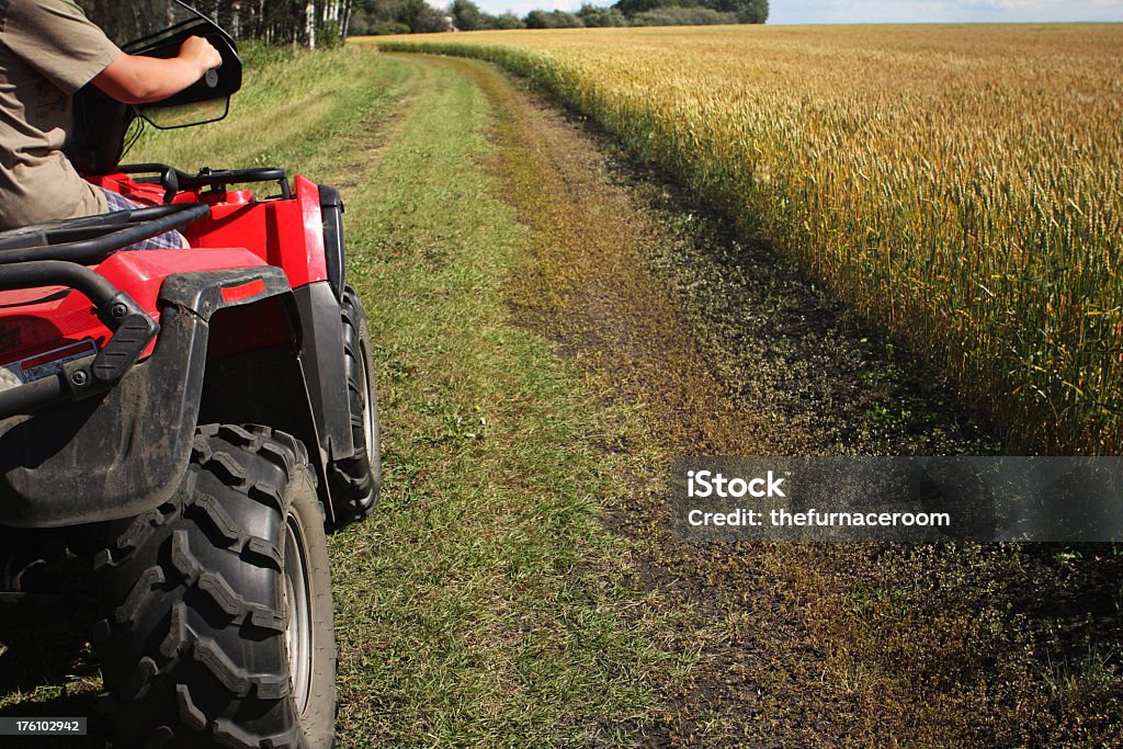 All Terrain Vehicle driving near a green farm field a teen on an atv driving on a lane checking out the crop in the field Off-Road Vehicle Stock Photo