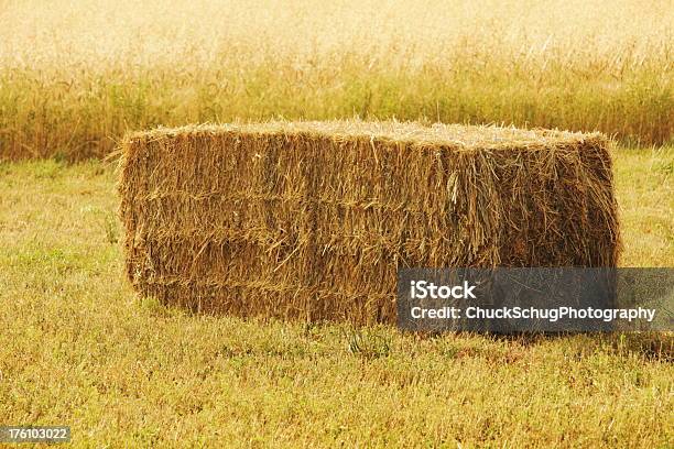 Hay Bale Farm Dziedzinie Rolnictwa - zdjęcia stockowe i więcej obrazów Prostokąt - Prostokąt, Balot, Leżeć na boku