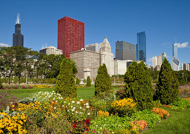 centrum miasta chicago i budynku sears tower i grant park - grounds city life park grant park zdjęcia i obrazy z banku zdjęć