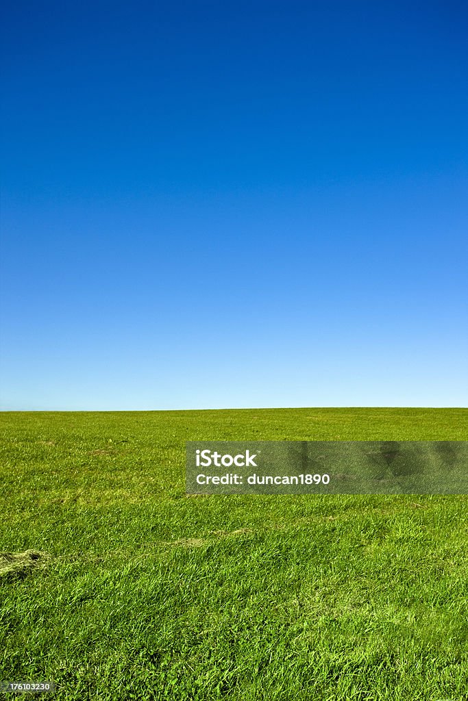 Campo verde e cielo azzurro - Foto stock royalty-free di Agricoltura