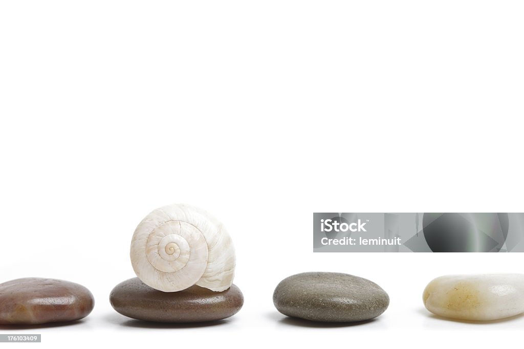Seashell and pebbles High resolution stock photograph of a seashell  and pebbles in a row isolated on white.Please see some similar pictures from my portfolio: Animal Shell Stock Photo