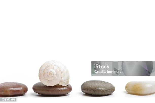 Seashell And Pebbles Stock Photo - Download Image Now - Animal Shell, Balance, Color Image