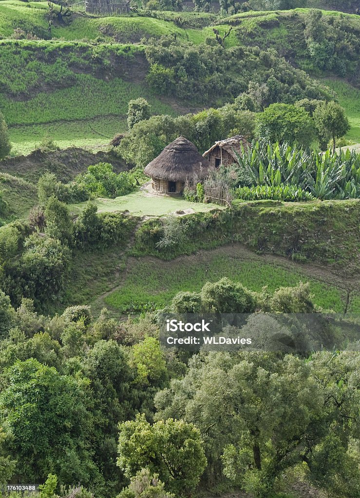 Традиционные tukol среди Эфиопского сельской местности - Стоковые фото Африка роялти-фри