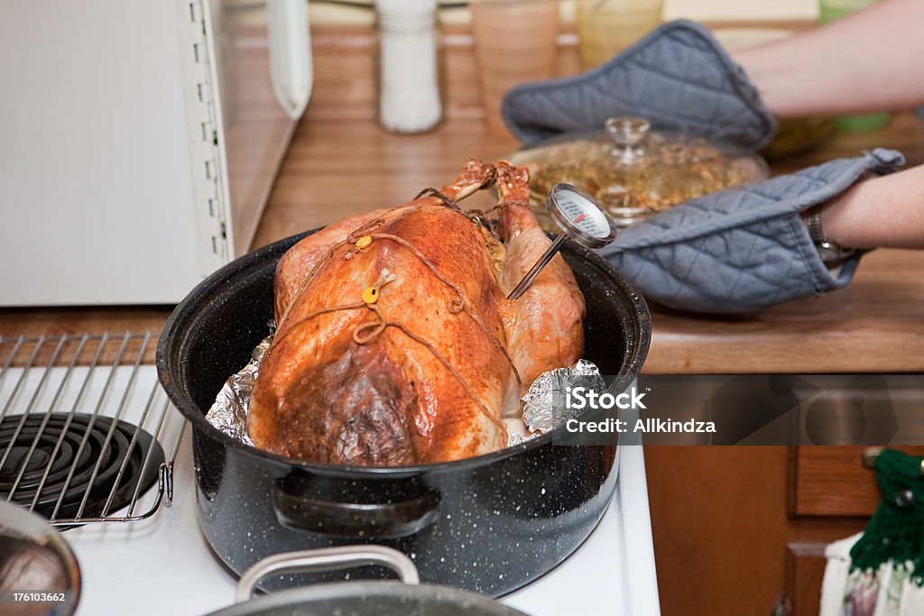 Turkey With Meat Thermometer Stock Photo - Download Image Now