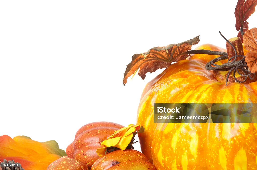 Autunno Zucca & Gourds - Foto stock royalty-free di Arancione