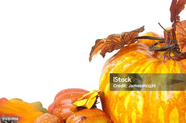 Autunno Zucca Gourds - Fotografie stock e altre immagini di Arancione - Arancione, Arredamento, Autunno