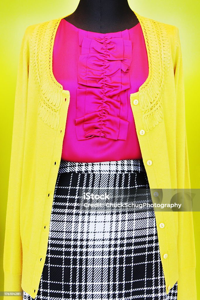 Трикотажная юбка Fashion Female Одежда - Стоковые фото Блуза роялти-фри