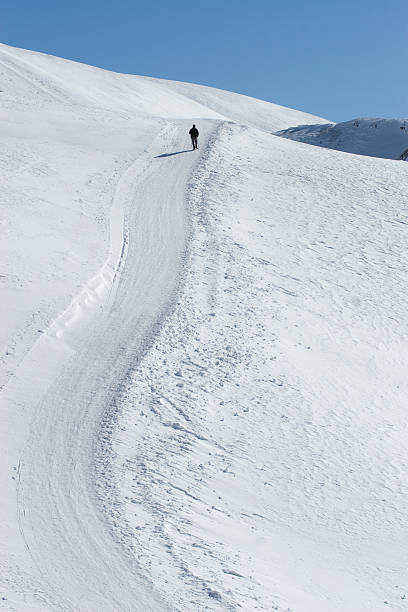 istock Lonely hiker in the alps 176104809