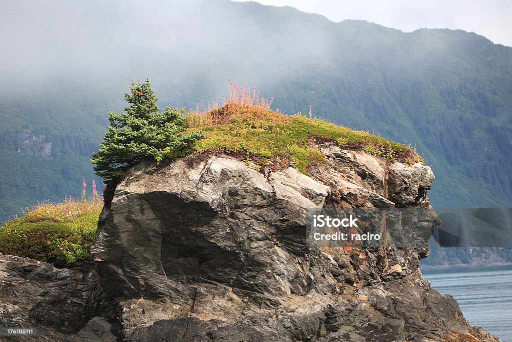 rocky outcropping perto do mar - Royalty-free Afloramento Foto de stock