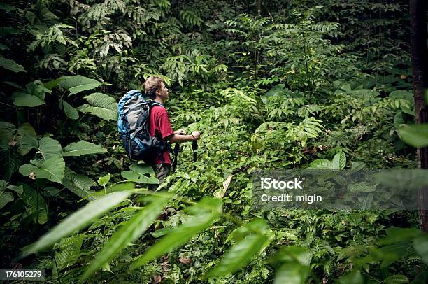 Foto de Achados Na Selva e mais fotos de stock de Perdido - Perdido, Confusão, Floresta tropical
