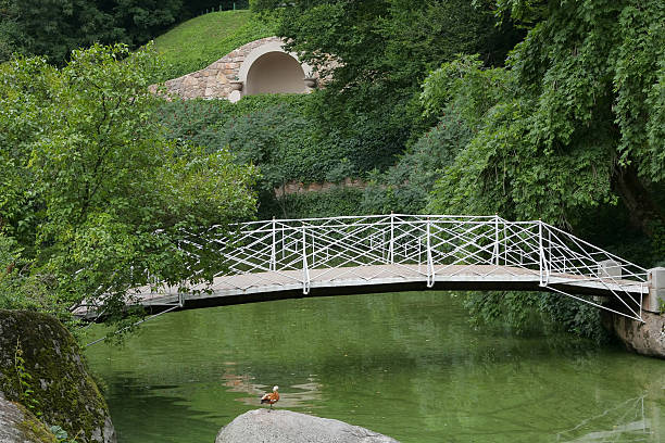 kładka dla pieszych w parku - pond athwart footbridge bridge zdjęcia i obrazy z banku zdjęć