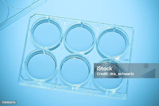 세포 배양 0명에 대한 스톡 사진 및 기타 이미지 - 0명, DNA, PCR 장치