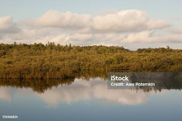 Lake Z Odbicia - zdjęcia stockowe i więcej obrazów Ameryka - Ameryka, Bez ludzi, Brzeg wody