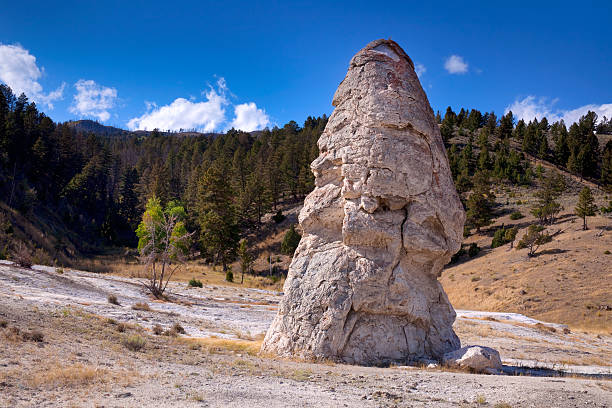 Stone Pillar or Tower in Yellowstone National Park. Yellowstone's unique geological features are spectacular and surreal.