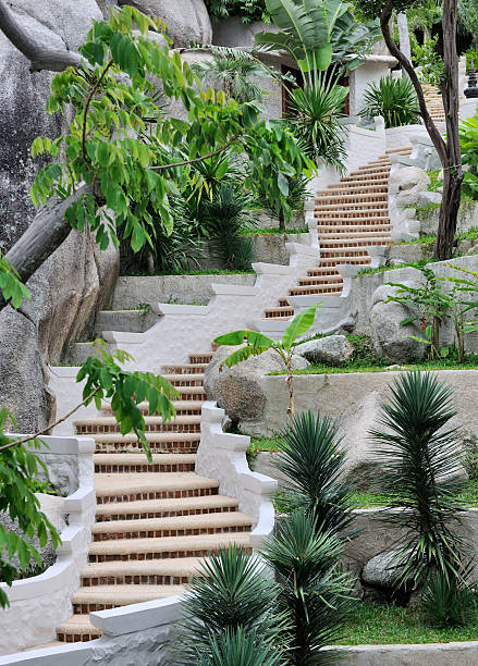 istock Stairway leading through tropical Garden (XXXL) 176108306