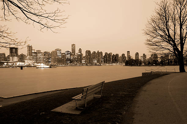 A shot of bench with Vancouver skyline in the background from Stanley park