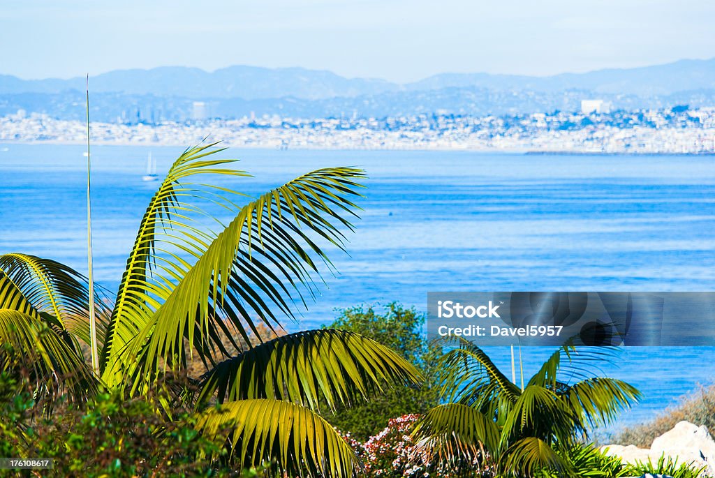 Palms and the Santa Monica Bay in Los Angeles Palm trees and other plants with a view of the Santa Monica Bay and the Los Angeles metropolitan area in the distance. Bay of Water Stock Photo