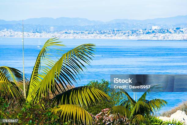 Palms And The Santa Monica Bay In Los Angeles Stock Photo - Download Image Now - Bay of Water, Beach, California