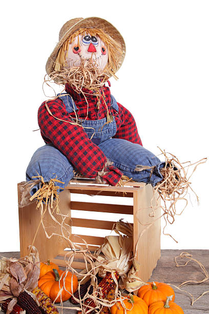 A male and female scarecrow in the suburbs.