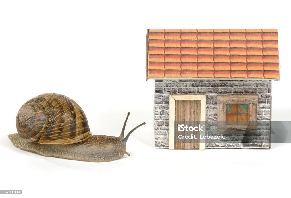 Escargot de Maison de poupée - Photo de Camping libre de droits