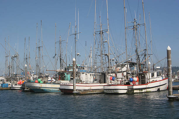 istock Commercial Fishing Fleet 176109517