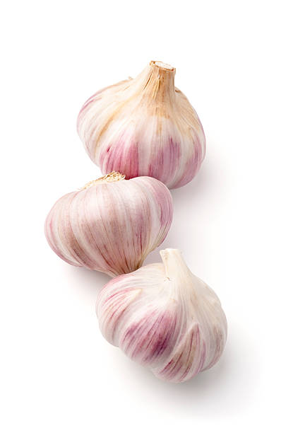 Lautrec garlic on white "Pink Lautrec garlic, not perfect but still beautiful, isolated on white. Soft shadow.More images isolated on white:" garlic stock pictures, royalty-free photos & images