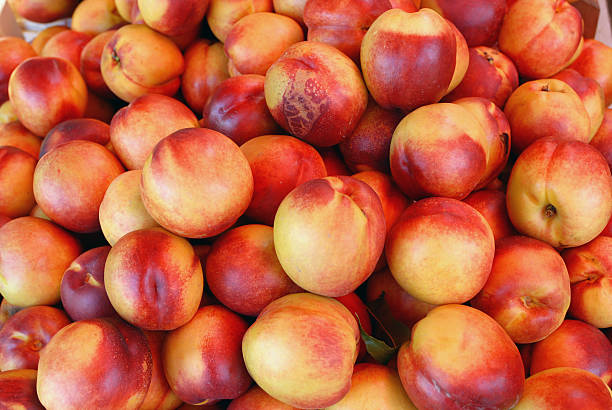 pescanoce - nectarine peach red market foto e immagini stock