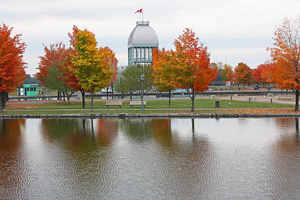 istock Autumn scenic with colorful trees in Montreal (Canada) 176110280