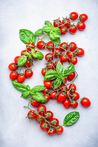 Red cherry tomatoes with green basil leaves on gray table background, top view